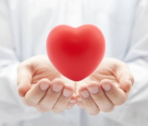 cuore